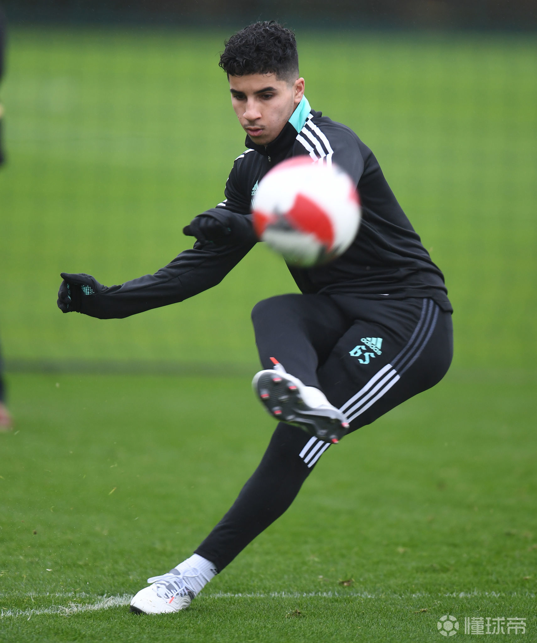 开云入口-关于转会期多伦多猛龙备战足总杯，外线爆发细节曝光，震撼外界，高层口径保持一致的信息